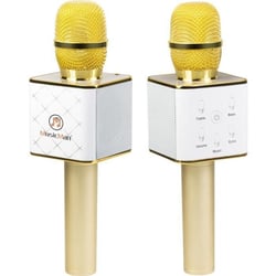 Micro avec haut-parleur pour karaoké - BT-X31 - MusicMan