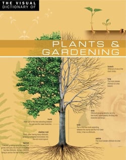 The Visual Dictionary of Plants &amp; Gardening - Plants &amp; Gardening