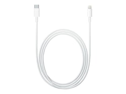 Câble lightning/USB-C - Apple