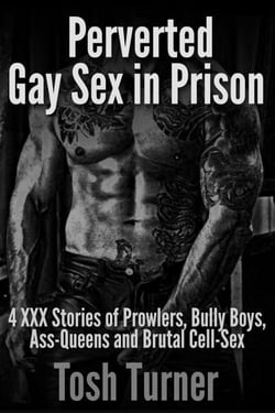 Perverted Gay Sex in Prison:  4 XXX Stories of Prowlers, Bully Boys, Ass-Queens and Brutal Cell-Sex