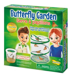 Elevage de Papillons