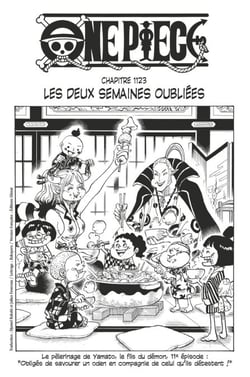 One Piece édition originale - Chapitre 1123 - Les deux semaines oubliées