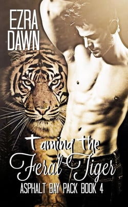 Taming the Feral Tiger - Asphalt Bay Pack, #4