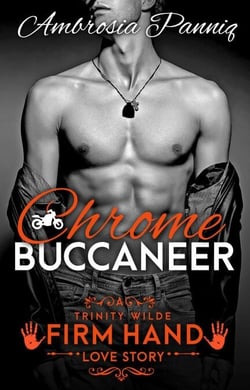 Chrome Buccaneer - A Trinity Wilde Firm Hand Love Story, #1