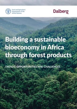 Building a Sustainable Bioeconomy in Africa through Forest Products: Trends, Opportunities and Challenges