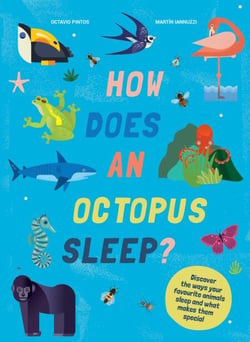 How Does An Octopus Sleep? - Discover the ways your favourite animals sleep and what makes them special