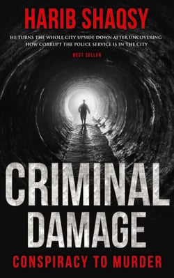Criminal Damage - Series 1