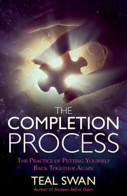 The Completion Process - The Practice of Putting Yourself Back Together Again