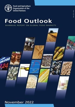 Food Outlook – Biannual Report on Global Food Markets: November 2022