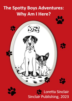 The Spotty Boys Adventures: Why Am I Here? - 9798223017554 | Cultura