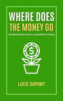 Where does the Money go - Finanzas, #1