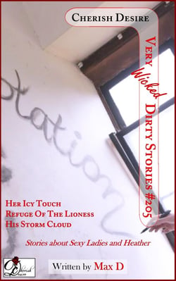 Very Wicked Dirty Stories #205 - Very Dirty Stories, #205
