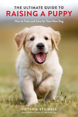 The Ultimate Guide to Raising a Puppy - How to Train and Care for Your New Dog