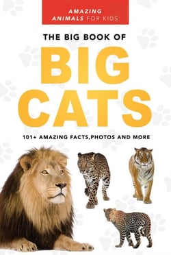The Big Book of Big Cats - Animal Books for Kids, #1