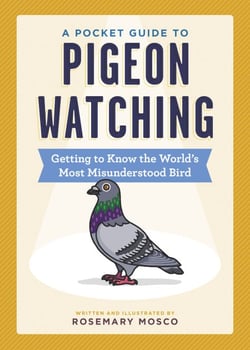 A Pocket Guide to Pigeon Watching - Getting to Know the World's Most Misunderstood Bird