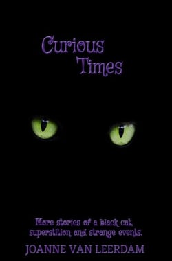 Curious Times - Curious Things, #2