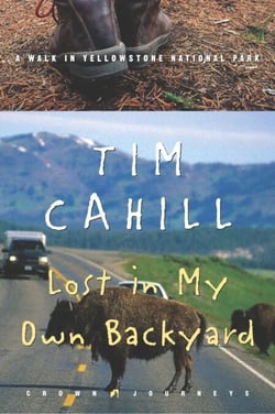 Lost in My Own Backyard - A Walk in Yellowstone National Park