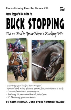 Crow Hopper's Big Guide to Buck Stopping - Horse Training How-To, #10