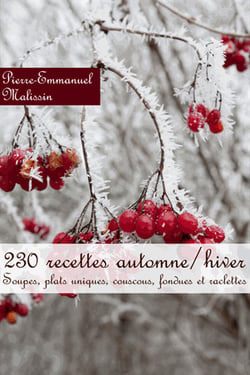 230 recettes automne/hiver. Soupes, plats uniques, couscous, fondues et raclettes - Soupes, plats uniques, couscous, fondues et raclettes