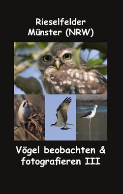 Rieselfelder - Münster (NRW) - Vögel beobachten &amp; fotografieren III