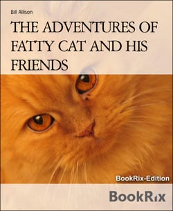 THE ADVENTURES OF FATTY CAT AND HIS FRIENDS - FATTY CAT