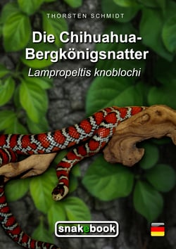 Die Chihuahua-Bergkönigsnatter - Lampropeltis knoblochi