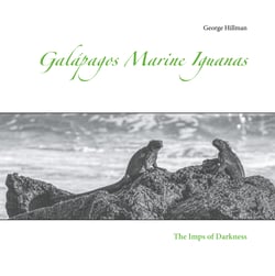 Galápagos Marine Iguanas - The Imps of Darkness