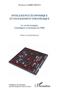 Intelligence économique et management stratégique - Le cas des pratiques d'intelligence économique des PME