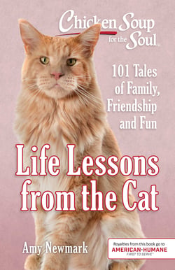 Chicken Soup for the Soul: Life Lessons from the Cat - 101 Stories About Our Feline Friends &amp; What Matters Most