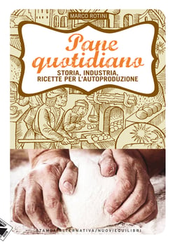 Pane quotidiano. Storia, industria, ricette per l'autoproduzione
