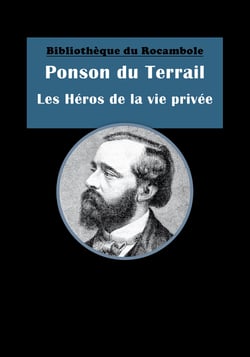Les Héros de la vie privée - Roman social