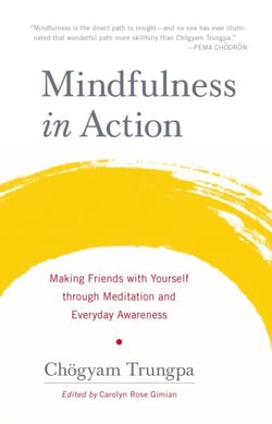 Mindfulness in Action - Making Friends with Yourself through Meditation and Everyday Awareness
