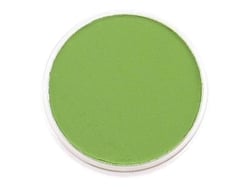 PanPastel oxide de chrome moyen