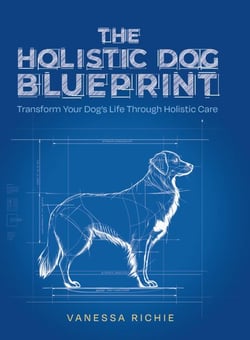 The Holistic Dog Blueprint: Transform Your Dog's Life Through Holistic Care