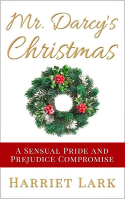 Mr. Darcy’s Christmas - Pemberley Intimate, #4