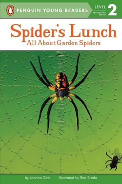 Spider's Lunch - All About Garden Spiders