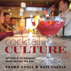 Cocktail Culture - Recipes &amp; Techniques from Behind the Bar