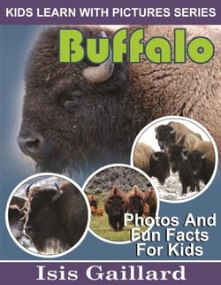 Buffalo Photos and Fun Facts for Kids - Kids Learn With Pictures, #100