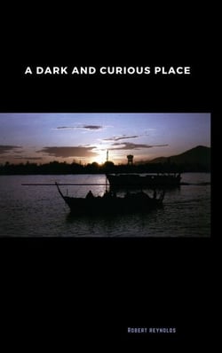A Dark and Curious Place - Vietnam War Era