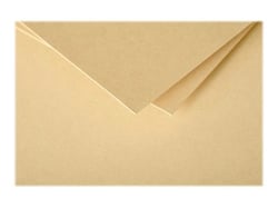 25 cartes Pollen 135x135 mm - Caramel