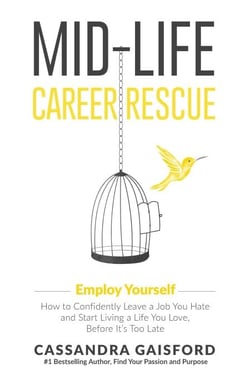 Mid-Life Career Rescue: Employ Yourself - Midlife Career Rescue, #3