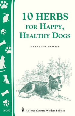 10 Herbs for Happy, Healthy Dogs - Storey's Country Wisdom Bulletin A-260