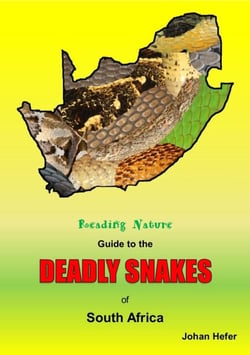 Reading Nature Guide to the Deadly Snakes of South Africa - Reading Nature