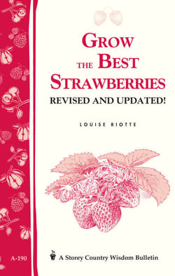 Grow the Best Strawberries - Storey's Country Wisdom Bulletin A-190