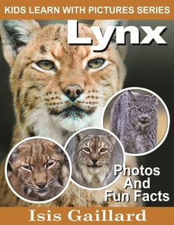 Lynx Photos and Fun Facts for Kids - Kids Learn With Pictures, #57