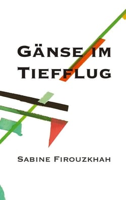 Gänse im Tiefflug - camping leben