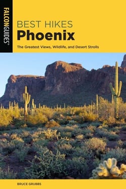 Best Hikes Phoenix - The Greatest Views, Wildlife, and Desert Strolls
