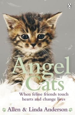 Angel Cats - When feline friends touch hearts and change lives
