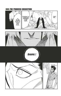 Bleach - T73 - Chapitre 665 - THE PRINCESS DISSECTION