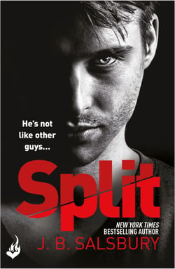 Split - A powerful, addictive love story with a twist...